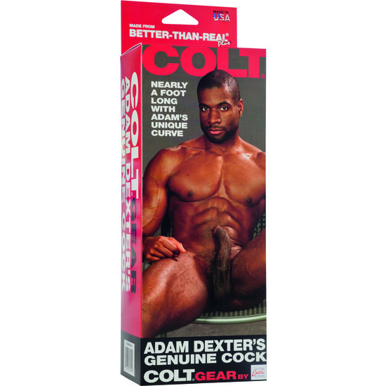 Colt realistic penis adam dexter