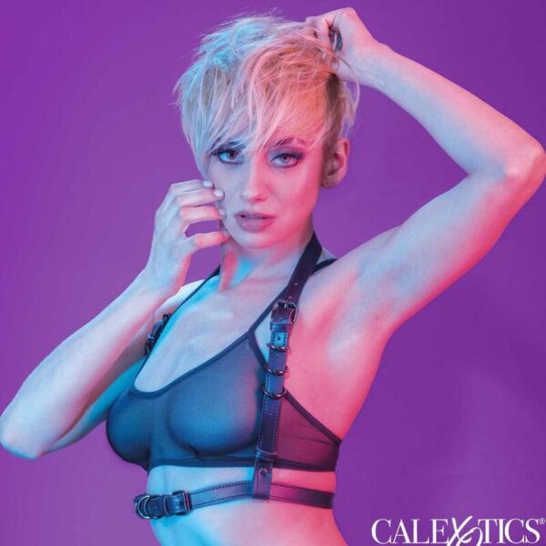 CalExotics Euphoria Halter harness with buckle fastening