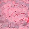 Rose Petals Diablo Picante - 100 Petals for Romantic Moments