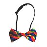 Bowtie pride flag lgbt