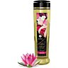 Shunga love erotic massage oil