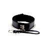 Restraint Bound to Please Furry Collar with Leash