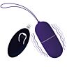 Purple Remote Control Vibrating Egg - Lilac Control
