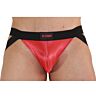 BURN 010 Jockstrap with Sheer Panels
