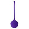 Purple Kegel Fit