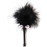 Feather Duster Secret Play Mini for Sensational Sensations