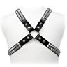Studded Harness