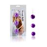 Purple Sensual Anal Beads
