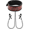 BDSM Red Pleasure Collar