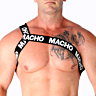 Roman Harness MACHO | Distinctive Design and Comfort