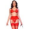 Lingerie Set CHILIROSE CR 4895 5 Piece Set