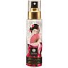 Gentle Toy Cleaner SHUNGA 115 ML – Safe for All Materials