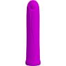 Purple Mini Vibrator Pretty Love