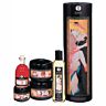 Shunga collection of carnal pleasures