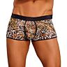 Male Power Leopard Print Shorts | All-Day Comfort