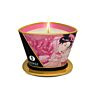Shunga Mini Caress Massage Candle 170 ml