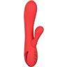 Rabbit Vibrator CALEXOTICS Palisades Passion with Heated Functionality