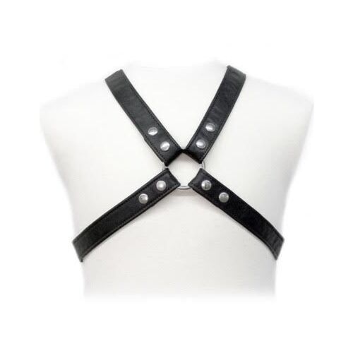 Leather Body Lasic Harness with Adjustable Straps