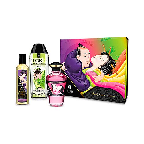 Shunga Kits Fruity Kisses Couples Kit