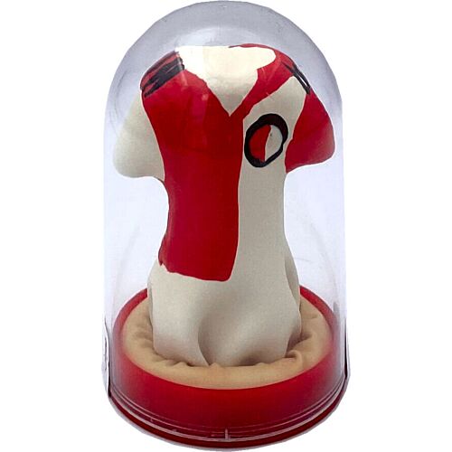 Novelty Condom CONDOMERIE Feyenoord Shirt - Distinctive Design