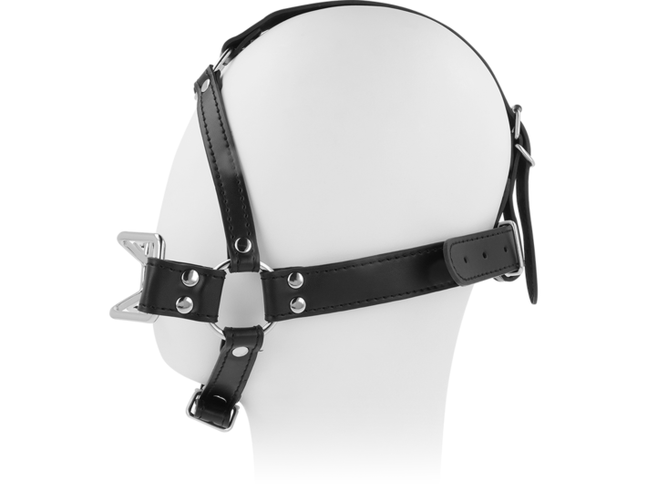 Arachnid Headgear