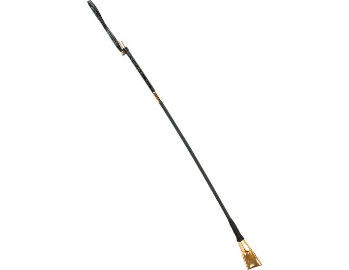 Whip Fetish fantasy gold