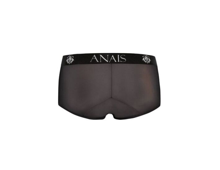 Anais Eros Brief - Black Tulle
