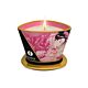 Shunga Mini Caress Massage Candle 170 ml
