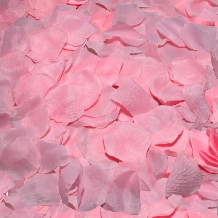 Pink Petal Seduction