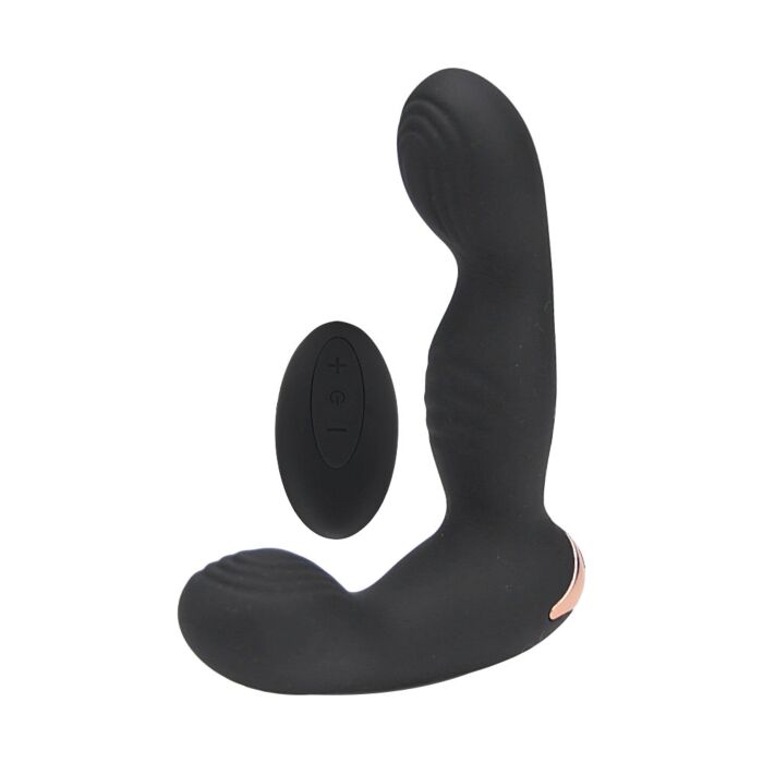 Prostate Massager Rev 10 Function Remote Control Prostate Massager Rev 10 Function Remote Control