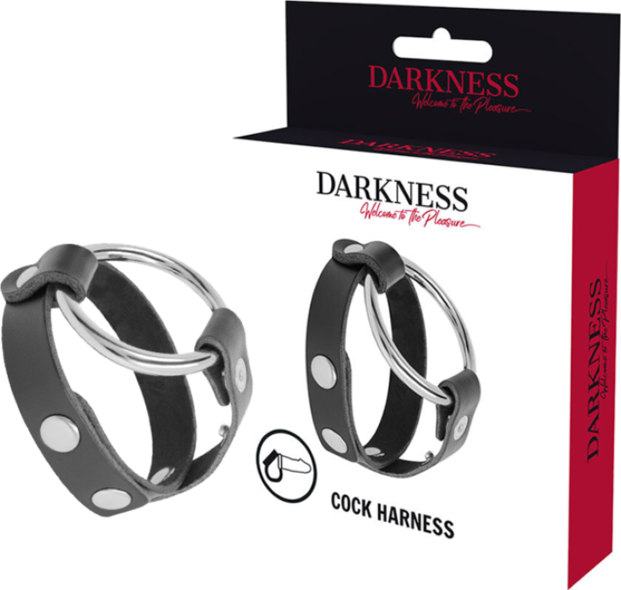 Dark BDSM Ring