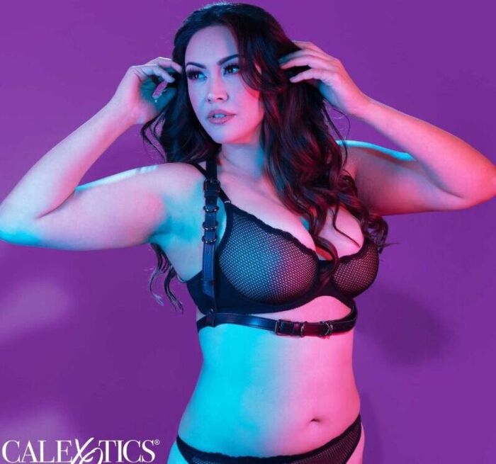 Halter Harness CalExotics Euphoria Plus Size Black Halter Harness CalExotics Euphoria Plus Size Black