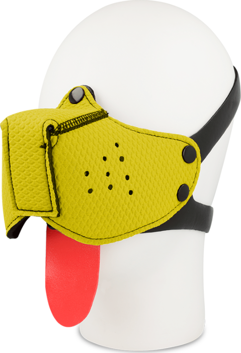 Yellow Muzzle Ohmama Yellow Muzzle Ohmama