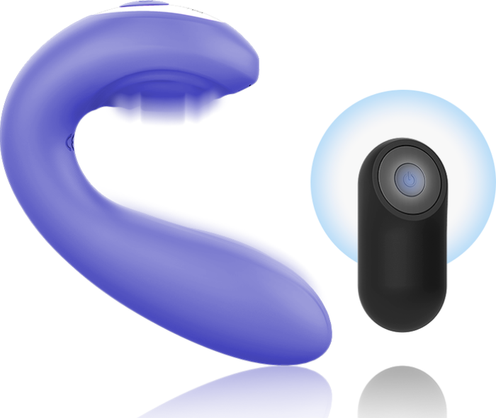 Mr. Boss Push Button Control Mr. Boss Push Button Control