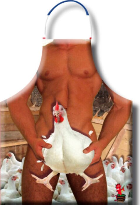 Stylish Chicken Coop