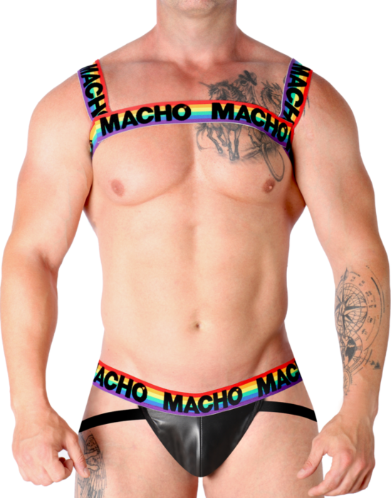 Double Pride: Limited Male Harness Double Pride: Limited Male Harness