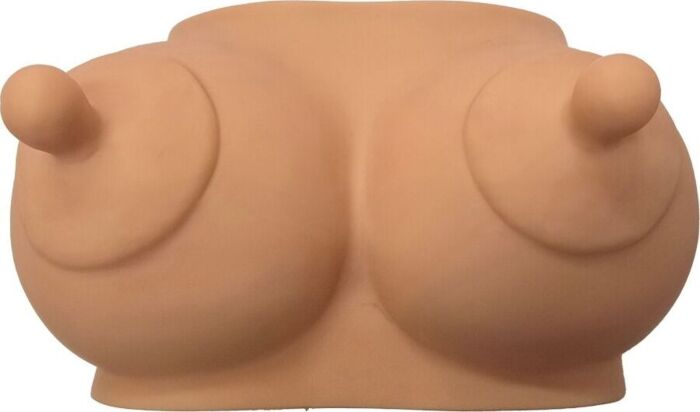 Novelty Coin Bank Diablo Picante Tits Design