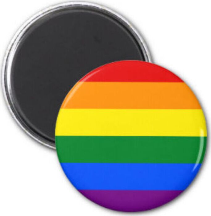 LGBT Flag Magnet PRIDE Unique Collectible