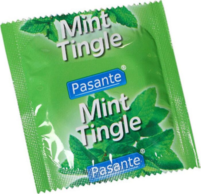 Pasante Mint Condoms Bulk Pack 144