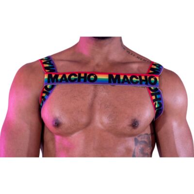 Double Pride: Limited Male Harness