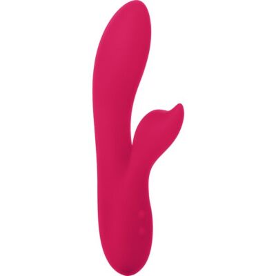 Silhouette vibrator s19 network