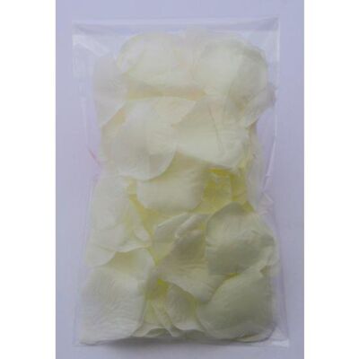 Sensual Floral White