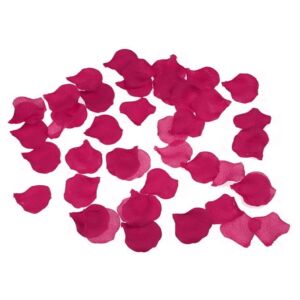 Glamorous Fuchsia Petals