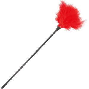 Red Velvet Stimulating Feather