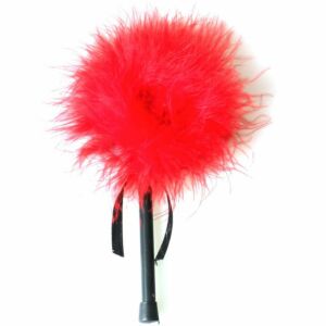 Seduction Feather Tickler