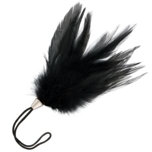DarkTouch Stimulating Feather