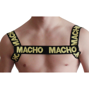 Shiny Sun Harness