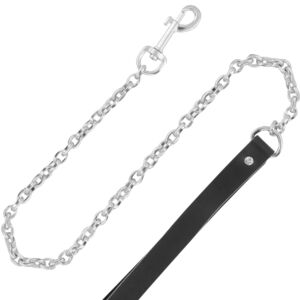 DarkLeash Necklace