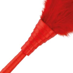 Vibrant Red Feather Pen