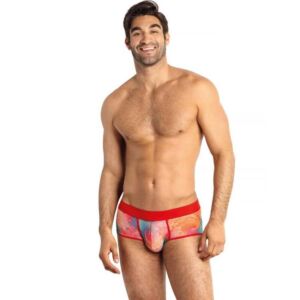 Anais Falcon Briefs
